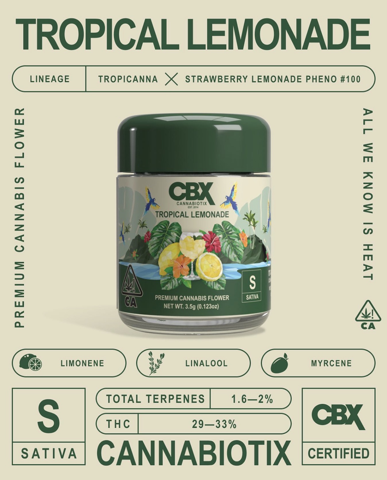 TROPICAL LEMONADE 3.5G Beverly Hills Cannabis Dispens...