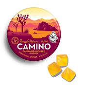 CAMINO | PINEAPPLE HABANERO