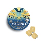 YUZU LEMON "BALANCE" GUMMIES | 100MG