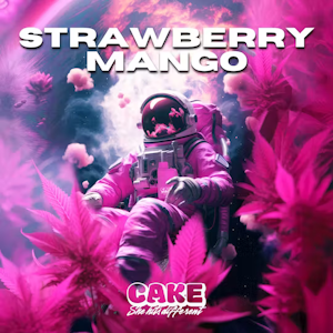 Cake - STRAWBERRY MANGO | DD AIO | 1.25G SATIVA