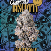 BISCOTTI | CONNECTED | 3.5G INDICA