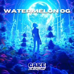Cake - WATERMELON OG | DD AIO | 1.25G INDICA
