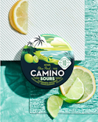 CAMINO SOURS | CITRUS PUNCH