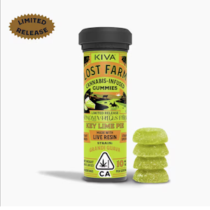 Kiva - KEY LIME PIE GRANDI GUAVA | LOST FARM GUMMIES